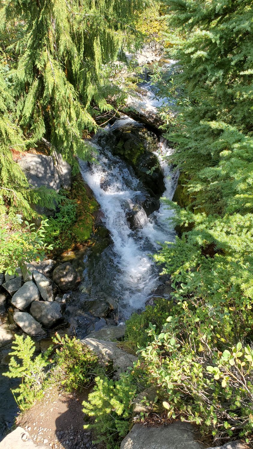 Mount Rainier NP 